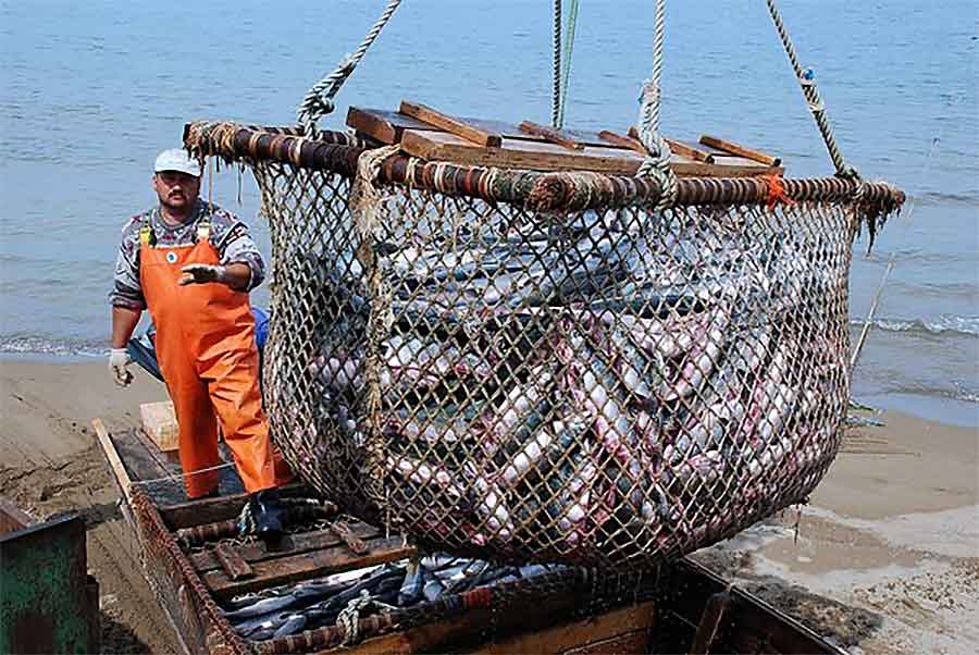 La Nación se apropia de los recursos pesqueros de Buenos Aires