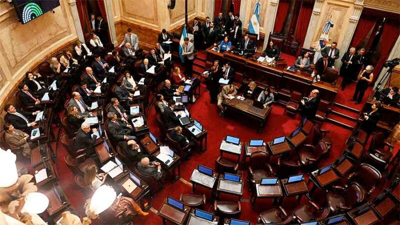 Con modificaciones sobre privatizaciones y jubilaciones, avanza el debate de la Ley Bases en el Senado